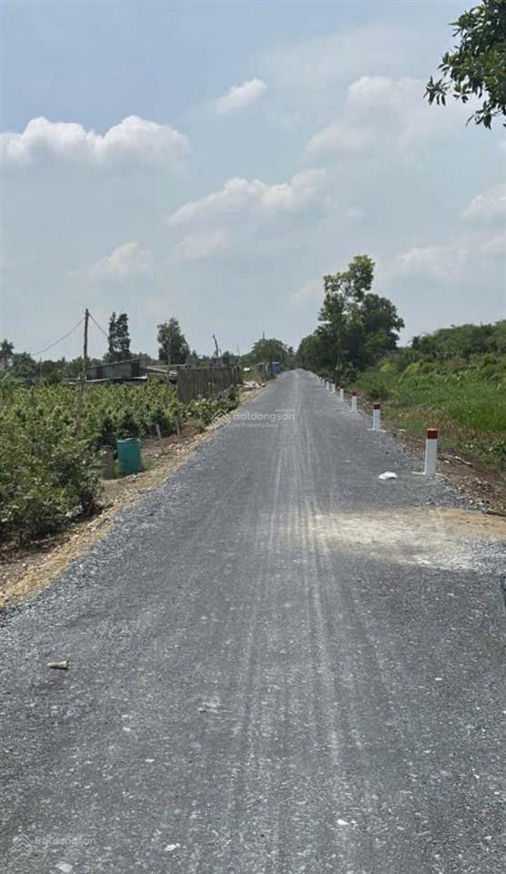 Đất bán mt kênh 6  vườn thơm, xã bình lợi, huyện bình chánh, 9130m2 (51m x 180m), sổ sẵn