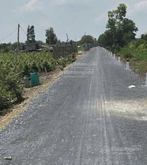 Đất bán mt kênh 6  vườn thơm, xã bình lợi, huyện bình chánh, 9130m2 (51m x 180m), sổ sẵn