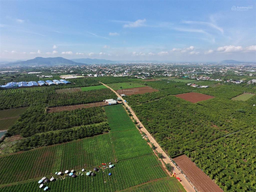 200m2 đất gần ngay sân bay liên khương  đức trọng thổ cư chỉ 1ty25
