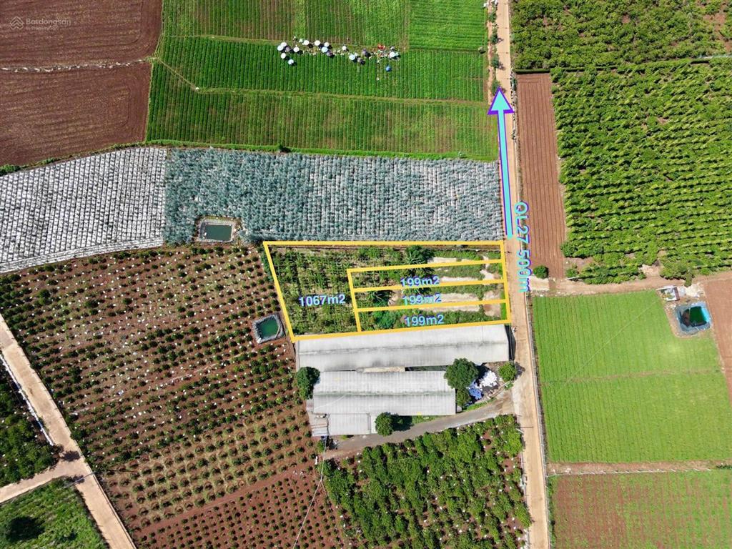 200m2 đất gần ngay sân bay liên khương  đức trọng thổ cư chỉ 1ty25