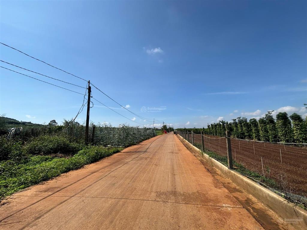 200m2 đất gần ngay sân bay liên khương  đức trọng thổ cư chỉ 1ty25
