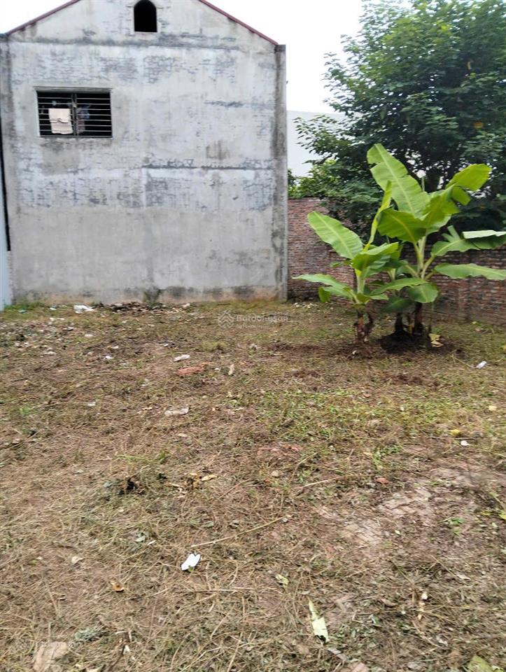 Bán đất tại phúc thọ, mai lâm, đông anh, 68triệu/m2, diện tích 215m2, giá cực chất đẹp