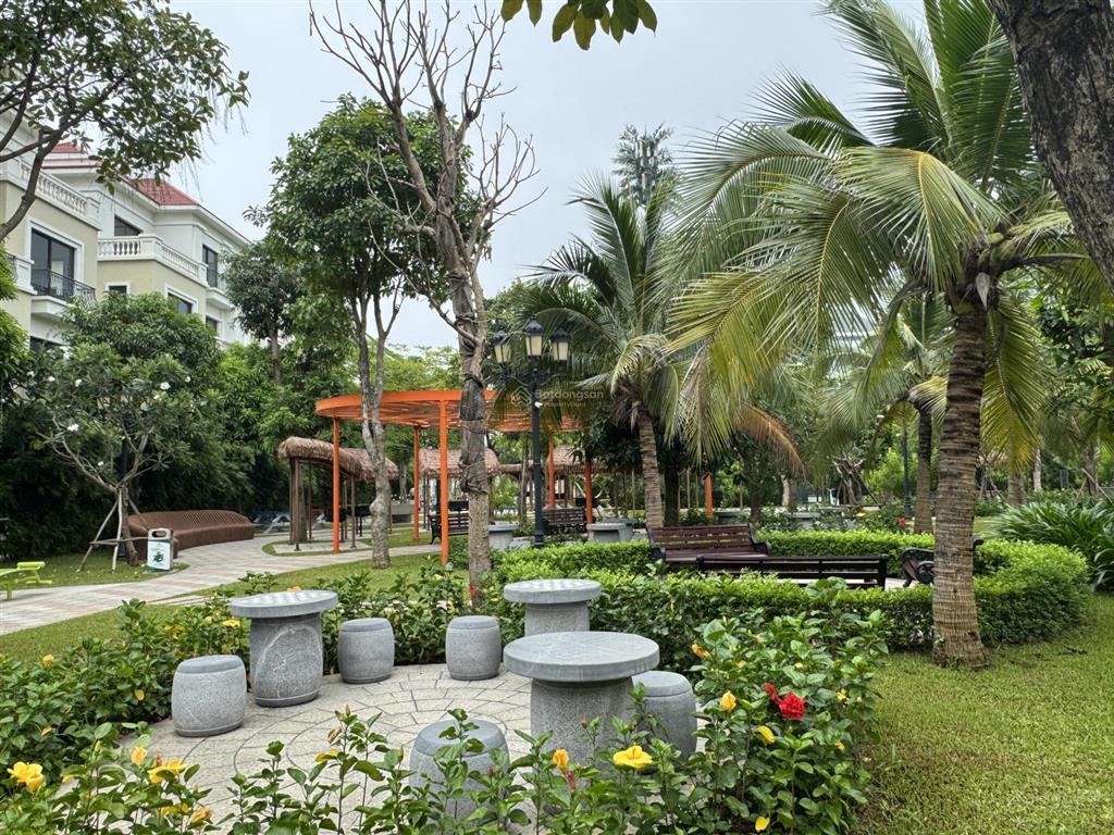 Chủ nhà cần bán nhanh song lập 150m2 ocean city, mặt tiền 10m, giá tốt nhất thị trường