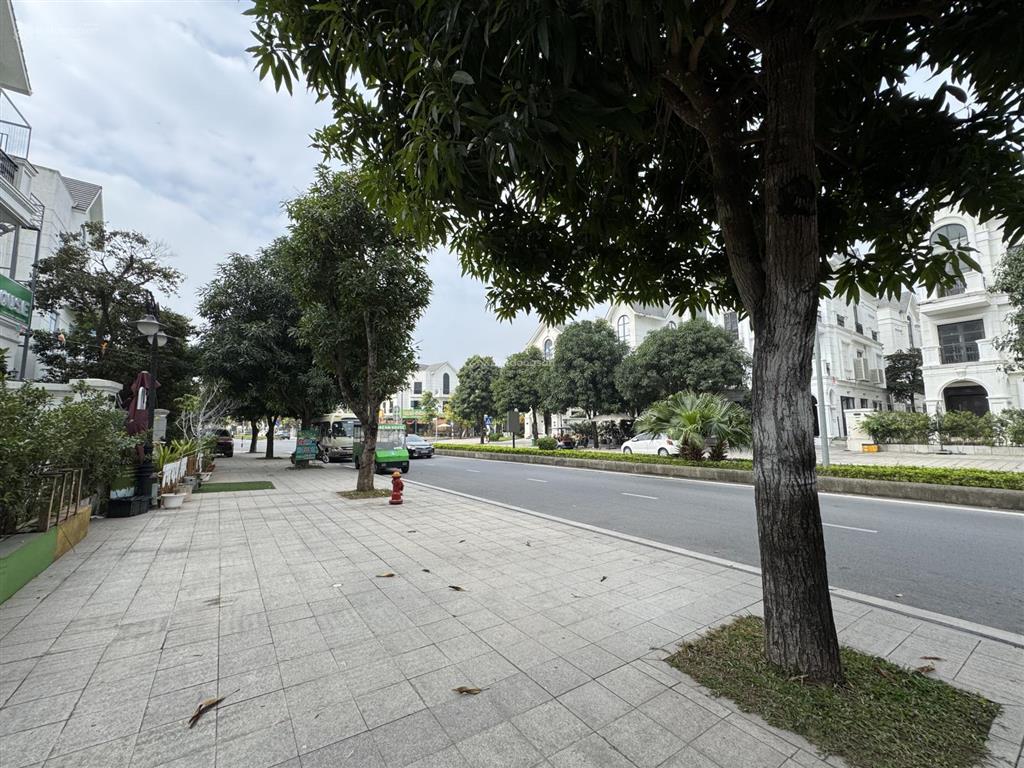 Chính chủ bán biệt thự song lập 150m2 đường 30m, đã hoàn thiện và đang cho thuê