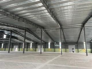 Chính chủ cho thuê 16.000m2 nhà xưởng tại thành phố thanh hóa