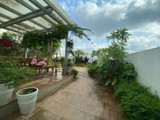 Bán căn hộ penthouse rừng cọ ecopark