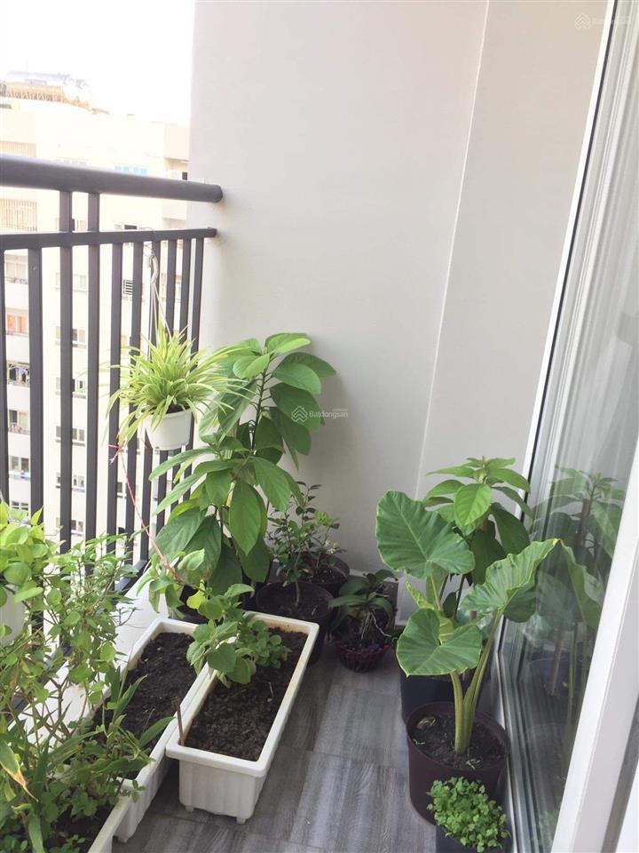 Hiệp thành building 2pn lô c cao cấp, 1.85 tỷ, 56m2, mt lê văn khương,  0901 808 ***