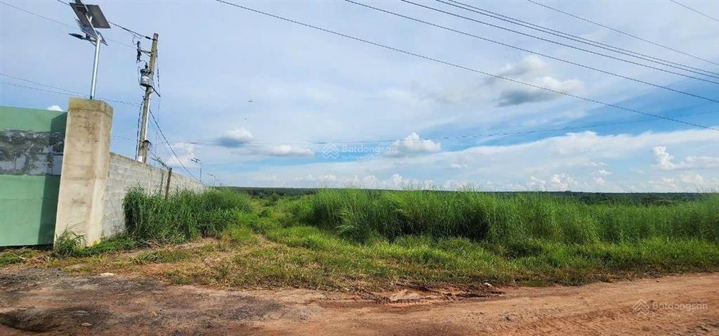 Đất giáp sông thị tính. dt 19.3 hetta cây lâu năm.