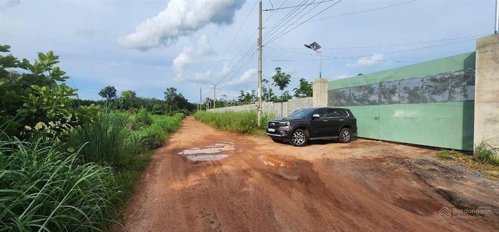 Đất giáp sông thị tính. dt 19.3 hetta cây lâu năm.