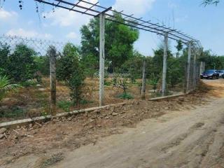 Bán 1 mẫu vườn sinh thái ven sông sài gòn view rạch tp. bến cát. dt ( 73. x 143 )