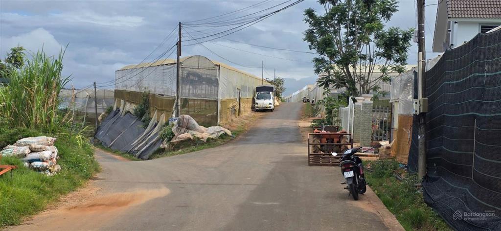 592m2 đất xuân thọ, view thông đồi chè điện gió. đường ô tô.