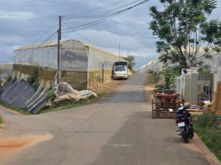 592m2 đất xuân thọ, view thông đồi chè điện gió. đường ô tô.