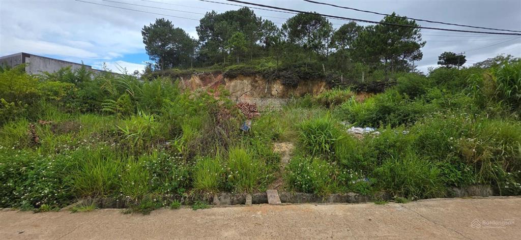 592m2 đất xuân thọ, view thông đồi chè điện gió. đường ô tô.