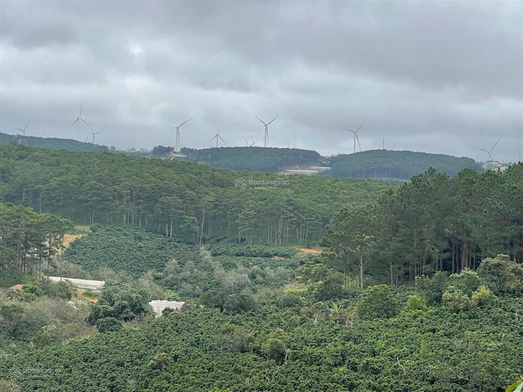 14.000m² đà lạt có suối giá hiếm chỉ 570tr/1.000m²