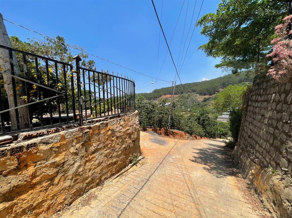 227m² đà lạt  view đồi thông  ô tô tới đất  sổ riêng