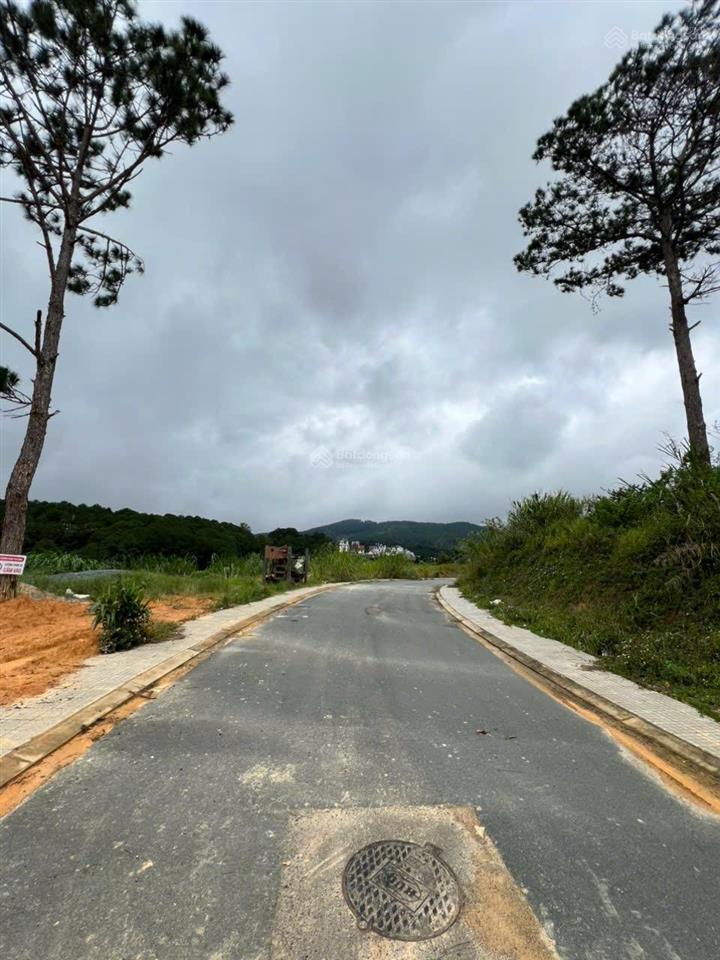 Đất khu quy hoạch an sơn 264m | giá 11,8 tỷ, còn thương lượng