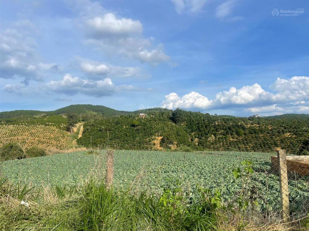 Quỹ đất 1,6ha knai phú hội, đức trọng 2 hướng kết nối đáng chú ý