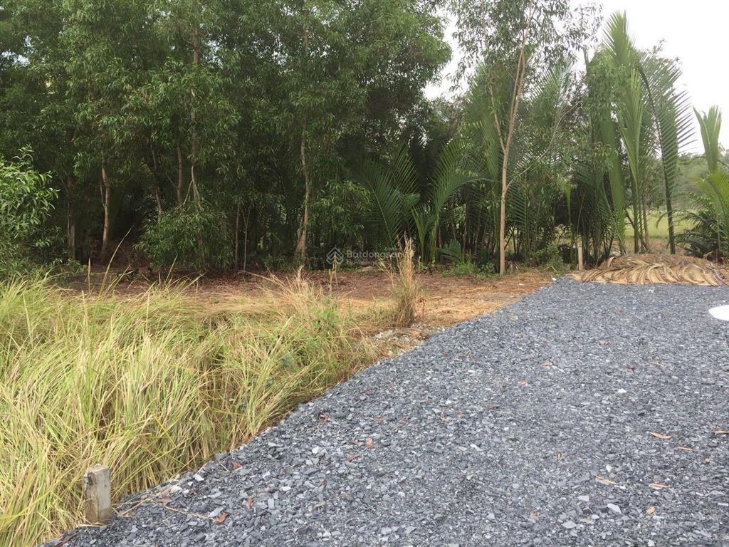 357m2 đất vườn xã phú hữu cách phà cát lái chỉ 1,5km. đất sạch, sổ hồng riêng. giá đầu tư