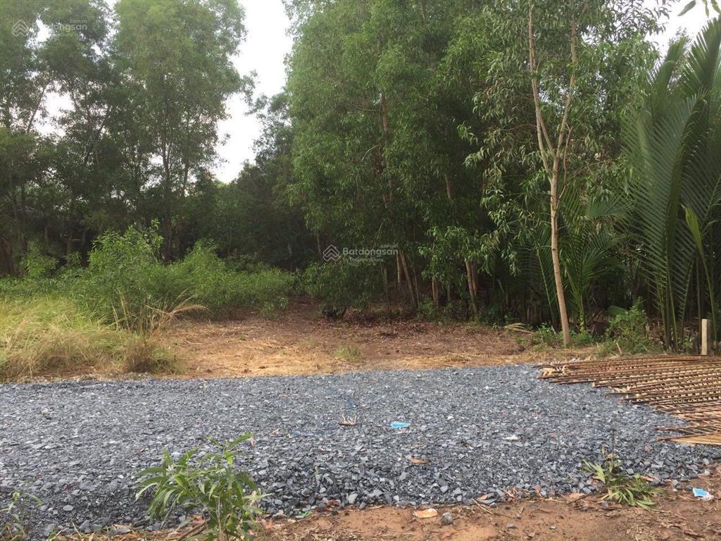 357m2 đất vườn xã phú hữu cách phà cát lái chỉ 1,5km. đất sạch, sổ hồng riêng. giá đầu tư