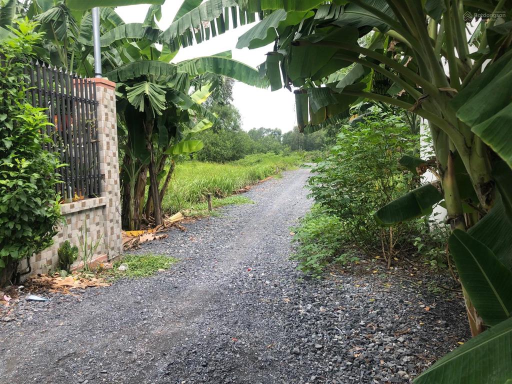 357m2 đất vườn xã phú hữu cách phà cát lái chỉ 1,5km. đất sạch, sổ hồng riêng. giá đầu tư