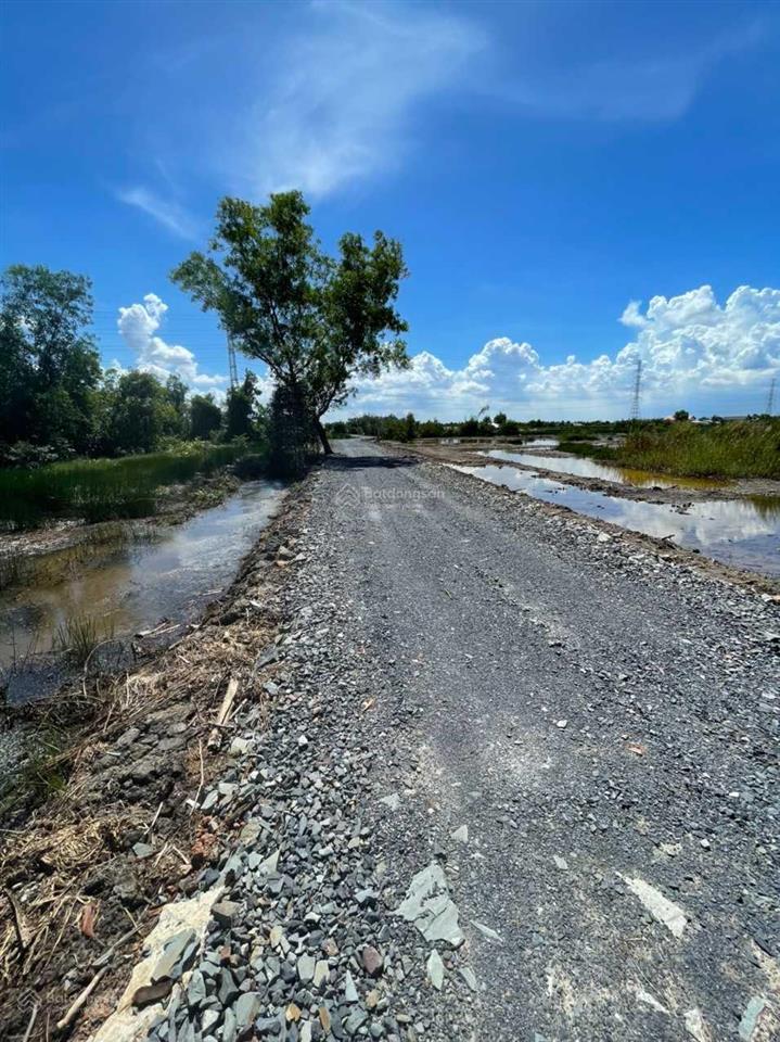 Đất đường oto mà giá rẻ hơn cả đất đi ghe xã phú đông, nhơn trạch. cách đường hùng vương chỉ 400m