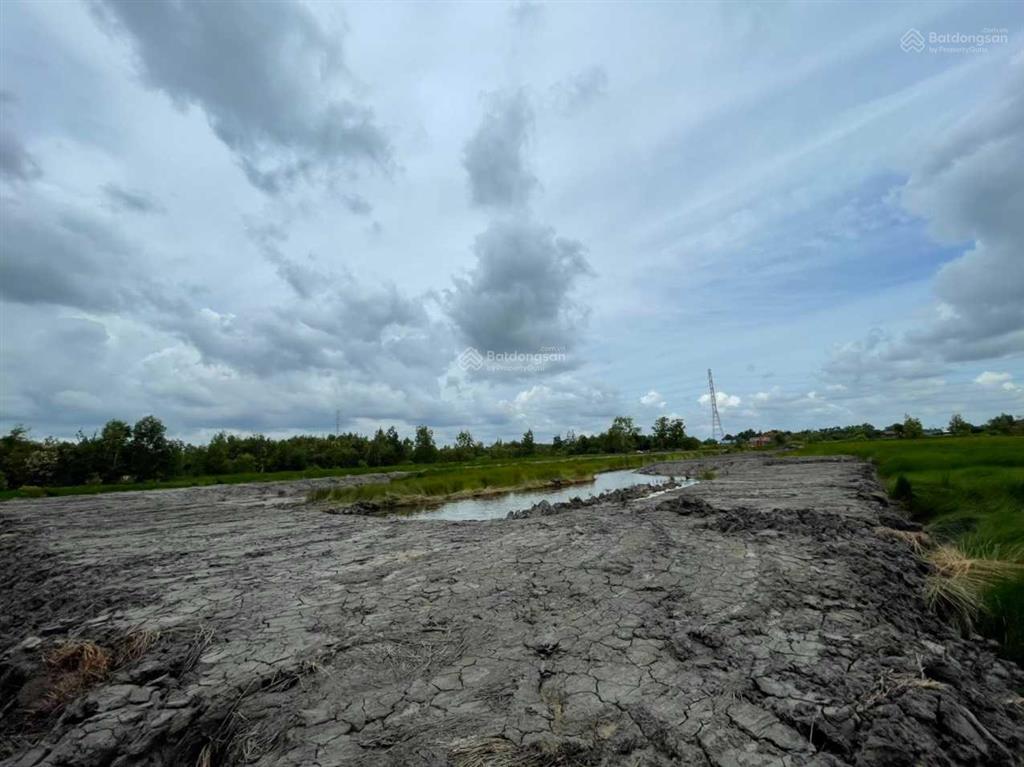 Đất đường oto mà giá rẻ hơn cả đất đi ghe xã phú đông, nhơn trạch. cách đường hùng vương chỉ 400m