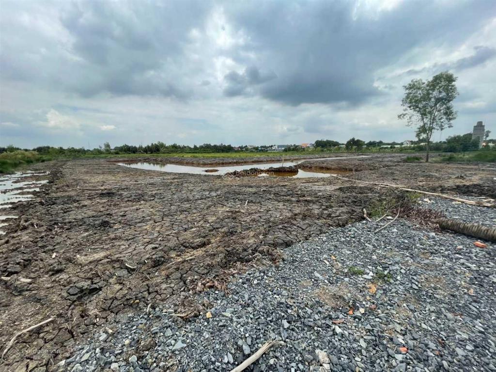 Đất đường oto mà giá rẻ hơn cả đất đi ghe xã phú đông, nhơn trạch. cách đường hùng vương chỉ 400m