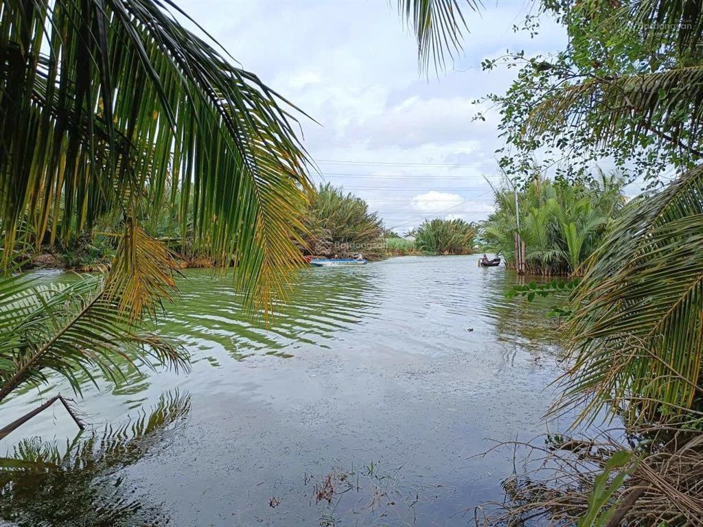 Chính chủ gửi bán lô đất vườn sát đường cầu cát lái  shr. giá chỉ 1 tỷ 500tr, đường hiện hữu sổ