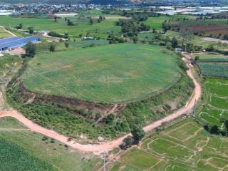 Đồi mai rùa, kho báu tròn độc đáo hiếm có, view đẹp 360