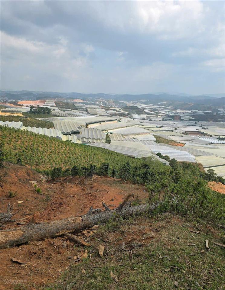Biệt thự view toàn cảnh đà lạt khu cán bộ học viện lục quân delight park