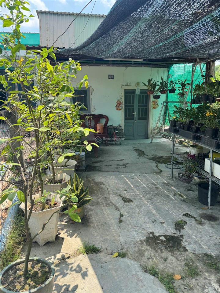 Bán nhà cũ tại đức hòa, long an giá cực ngộp