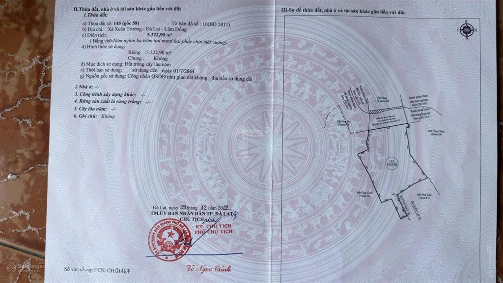 Bán đất cây lâu năm, 950 nghìn/m2, 5322 m2 tại xã xuân trường  đà lạt, lâm đồng