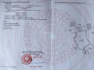 Bán đất cây lâu năm, 950 nghìn/m2, 5322 m2 tại xã xuân trường  đà lạt, lâm đồng