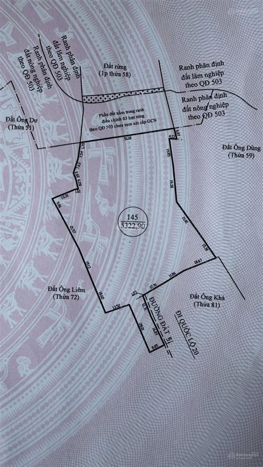 Bán đất cây lâu năm, 950 nghìn/m2, 5322 m2 tại xã xuân trường  đà lạt, lâm đồng