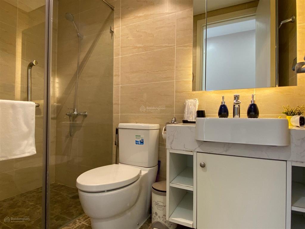 Cần cho thuê gấp chcc vinhomes d'capitale 119 trần duy hưng, 3pn, đủ đồ (view hồ cực xịn)