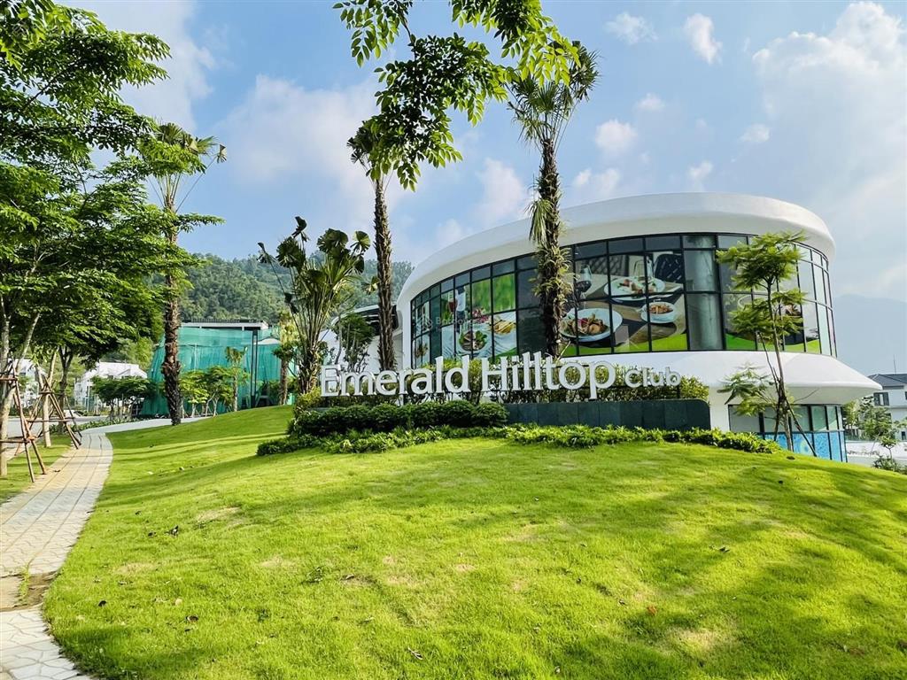 Biệt thự song lập 264m2 khu c  giá chỉ hơn 16 tỷ