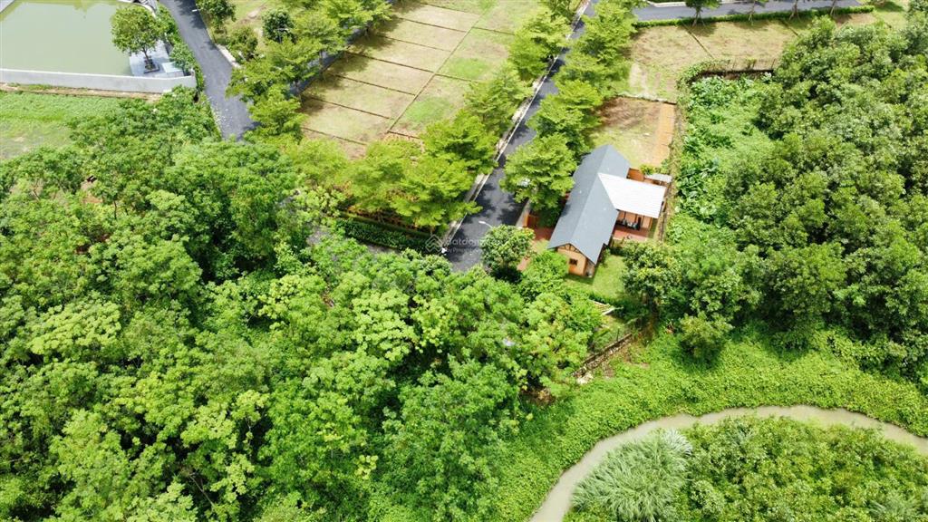 Cần bán 315m2 đất nền khu biệt thự sinh thái tại hòa lạc  quy hoạch chuẩn chỉnh