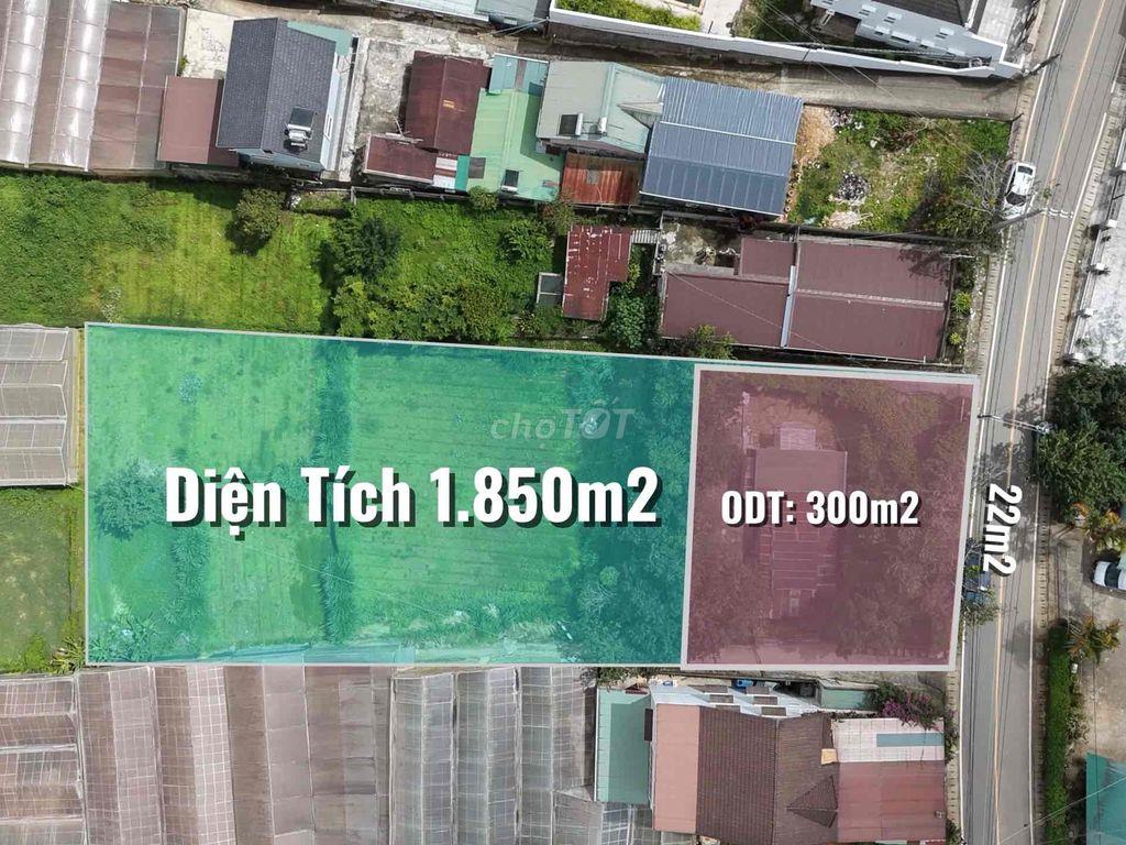Bán Đất Mặt Tiền Đường Trần Quang Khải Phường 8 Diện Tích 1850m2