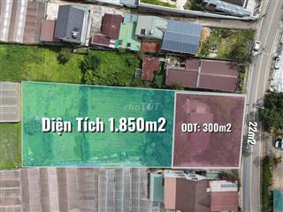 Bán Đất Mặt Tiền Đường Trần Quang Khải Phường 8 Diện Tích 1850m2