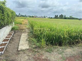 Chính chủ cần bán 3200m2 đất lúa xã tân lân  tây ninh