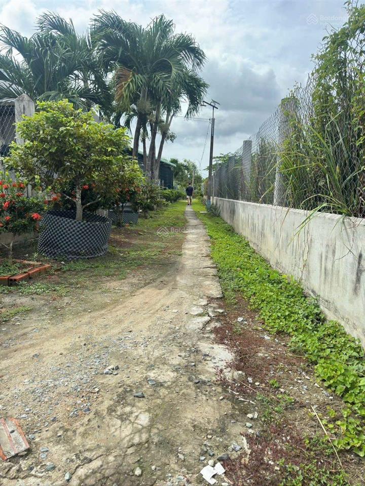 Chính chủ cần bán 3200m2 đất lúa xã tân lân  tây ninh