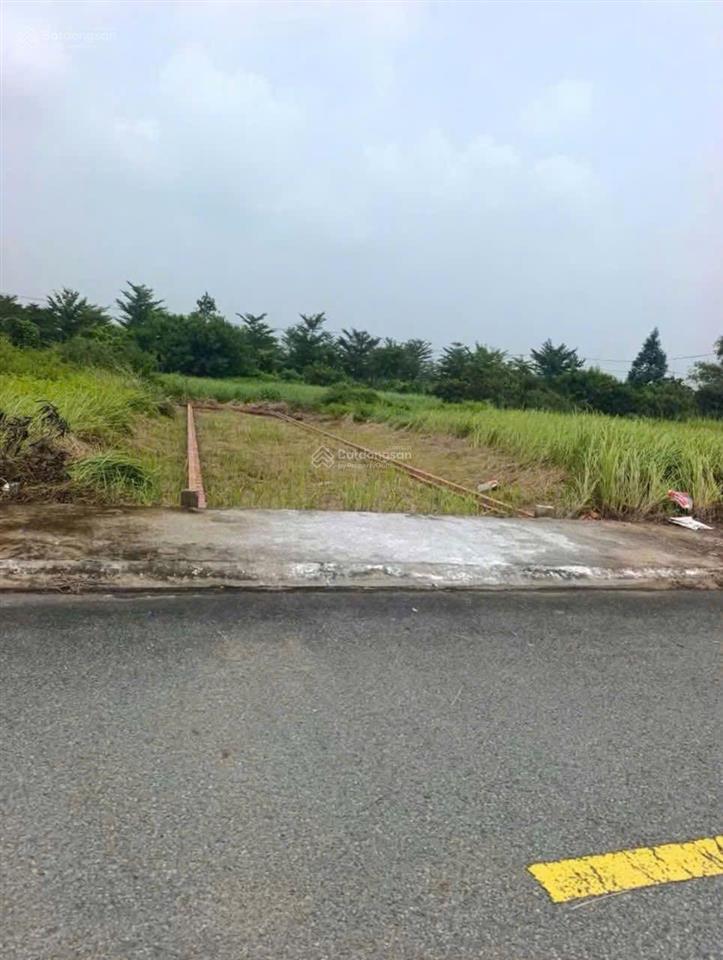 Chính chủ bán nền đất ecosun tân lân 100m2 | 880 triệu