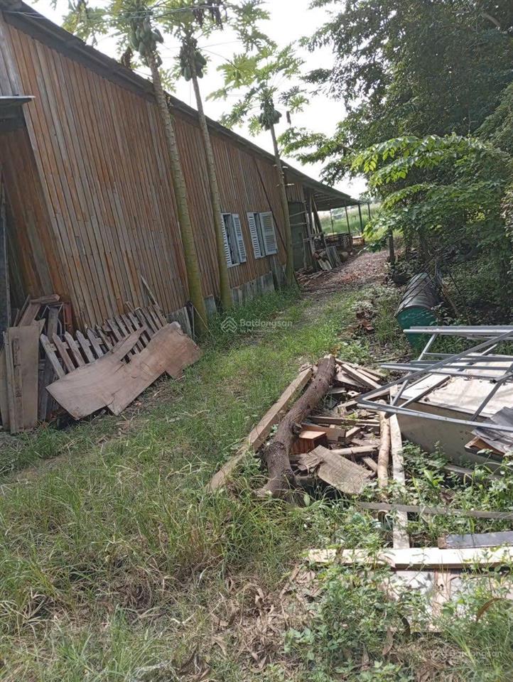 Chủ kẹt tiền cần bán gấp 330m2 đất vườn phước lâm | 650 triệu