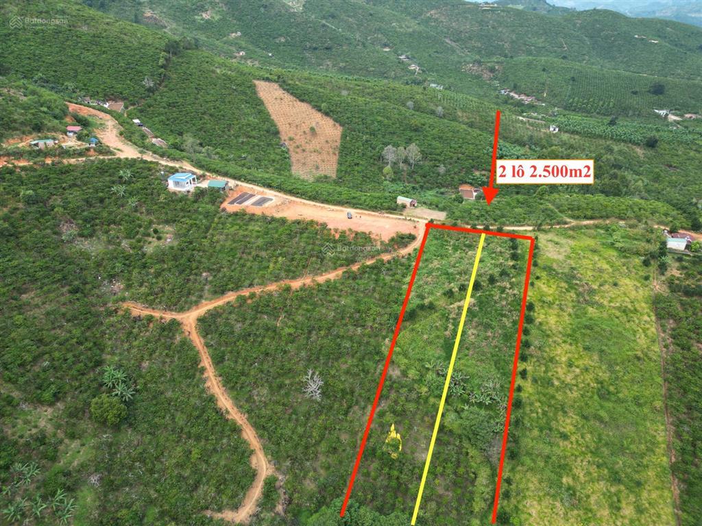 Đất 5000m2 đã tách thành 2 sổ. dân cư, điện nước, xe hơi vào tận nơi