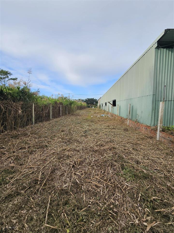 Bán đất tại ngô quang thắm, 13,5 tỷ, 565,2 m2