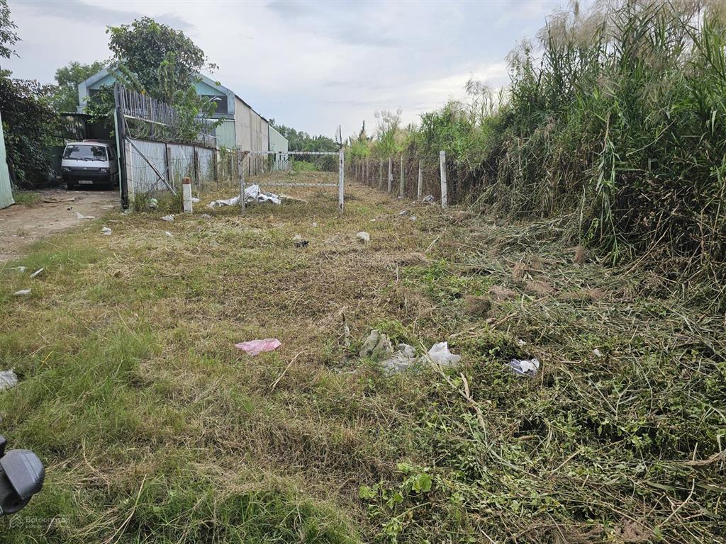 Bán đất tại ngô quang thắm, 13,5 tỷ, 565,2 m2