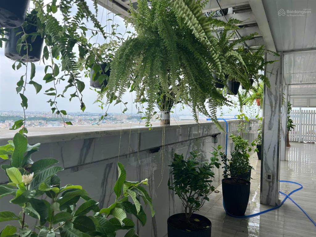 Chính chủ bán căn penhouse trung tâm quận phú nhuận đang cho thuê 110tr/tháng