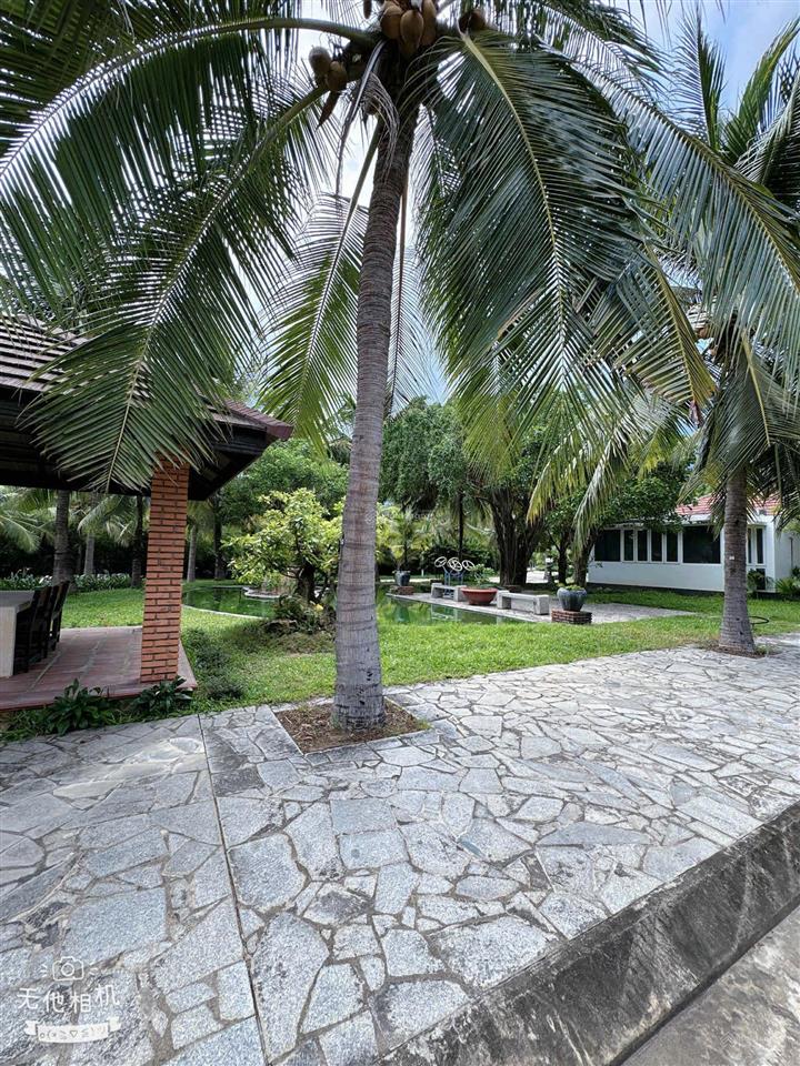 Bán lô biệt thự giáng hương nha trang kề bên ven sông tắc và sun group nha trang