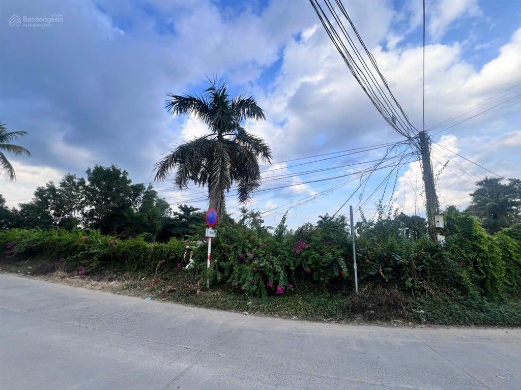 Bán lô đất 553,4m mặt đường lớn xuân sơn, võ dõng, phường tây nha trang.