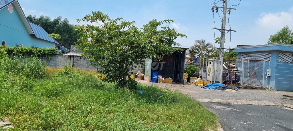 Bán gấp đất mặt tiền kinh doanh đối diện chợ Long Phú, Long Thành, ĐN